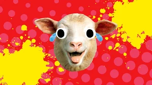 sheep-1